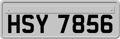 HSY7856