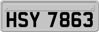 HSY7863