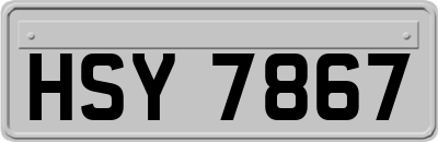 HSY7867