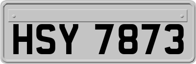 HSY7873