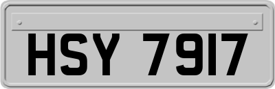 HSY7917