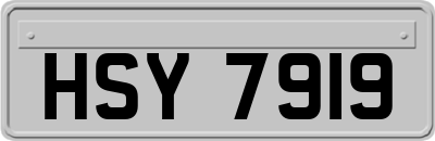 HSY7919