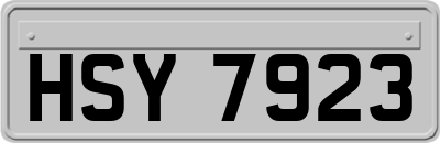 HSY7923
