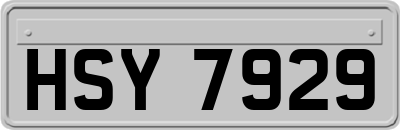 HSY7929