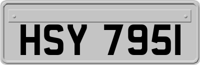 HSY7951