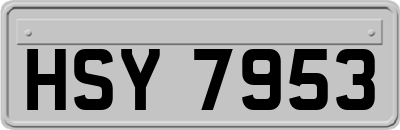 HSY7953