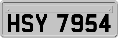 HSY7954