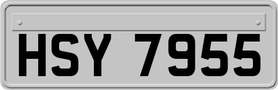 HSY7955