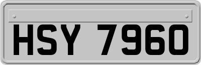 HSY7960