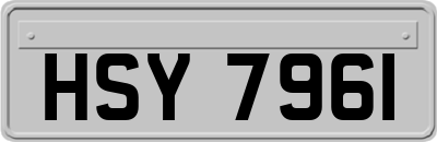 HSY7961