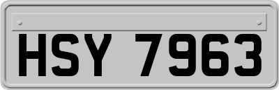 HSY7963