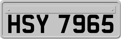HSY7965