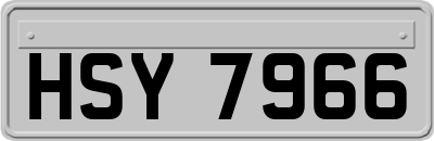 HSY7966