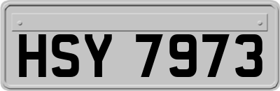HSY7973