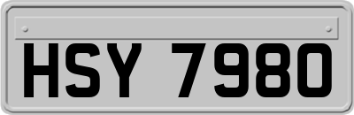 HSY7980