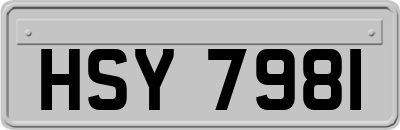 HSY7981