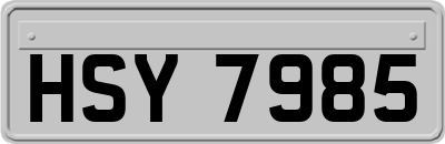 HSY7985