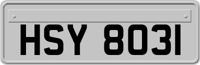 HSY8031