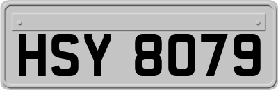 HSY8079