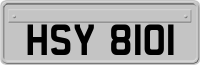 HSY8101