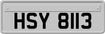 HSY8113