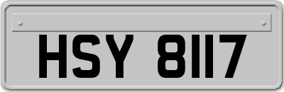 HSY8117