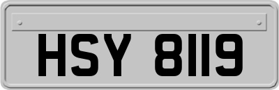 HSY8119