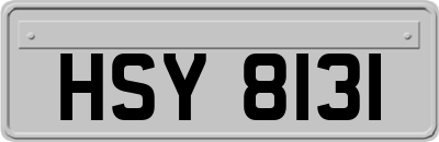 HSY8131