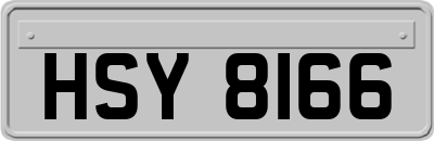 HSY8166