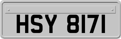HSY8171