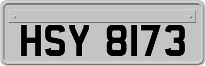 HSY8173