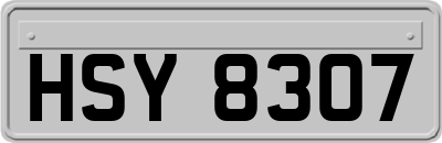 HSY8307