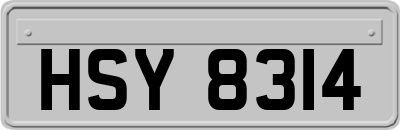 HSY8314