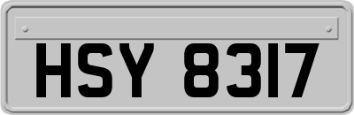 HSY8317