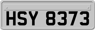 HSY8373