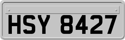 HSY8427