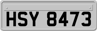 HSY8473