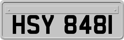 HSY8481