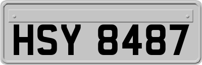 HSY8487