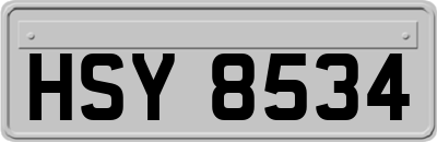 HSY8534