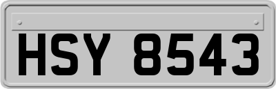 HSY8543