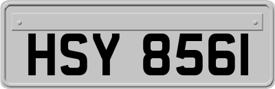 HSY8561