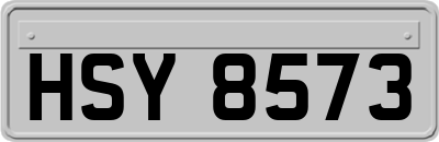 HSY8573