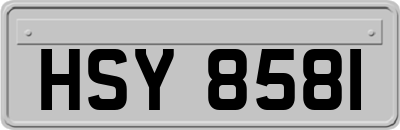 HSY8581
