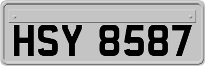 HSY8587