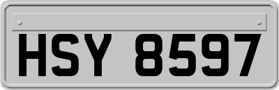 HSY8597