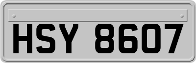 HSY8607