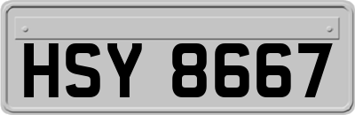 HSY8667