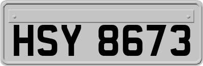 HSY8673