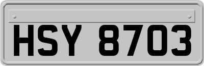 HSY8703